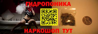 меф Кингисепп