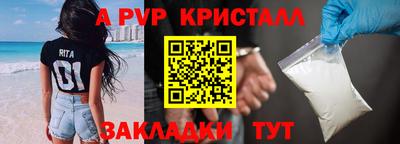 меф Кингисепп