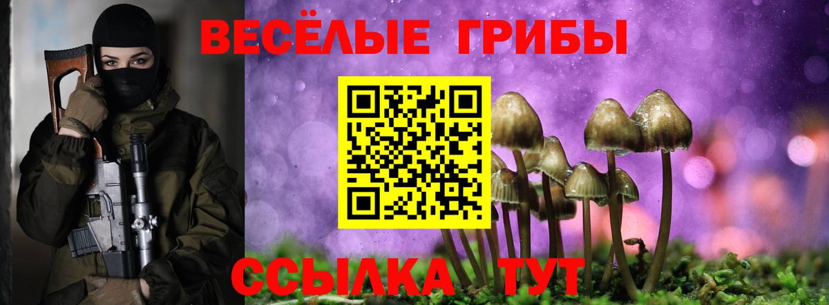 Псилоцибиновые грибы MAGIC MUSHROOMS Краснознаменск